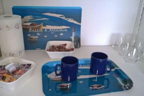 Apartamento Studio Pour 4 Les Pieds Dans L'eau Et Parking Centre D'arcachon