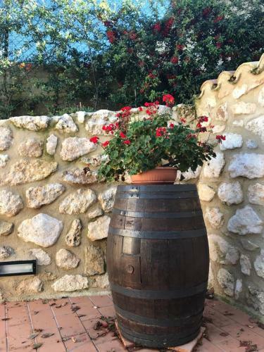 Villa Di Charme Tra Le Montagne D'abruzzo