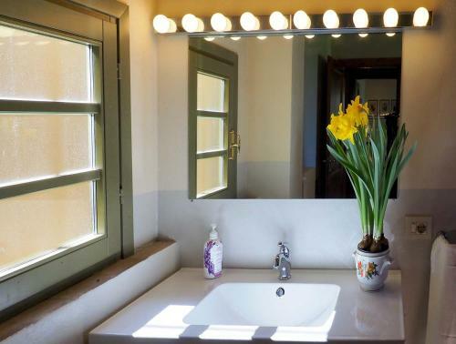Bolgheri Villa Bellavista