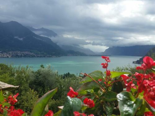 Apartamento Alba E Tramonto Appartamenti Vista Lago