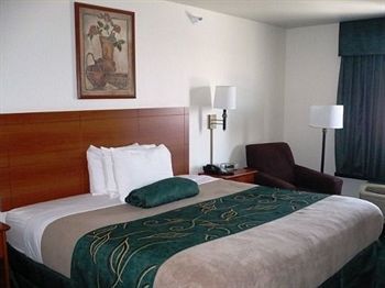 Hotel Oak Tree Inn - Fremont