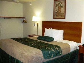 Hotel Oak Tree Inn - Fremont