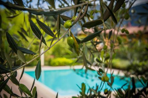 Apartamento Maison Casa Lavanda