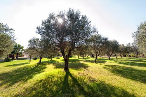 Agroturismo Olive Garden House