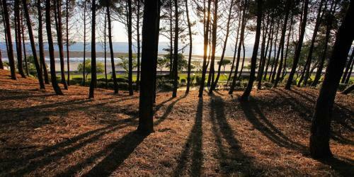 Apartamento L Europe Arcachon