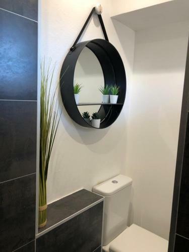 Apartamento Studio Climatis� Avec Balcon Face Aux Ar�nes D'arles