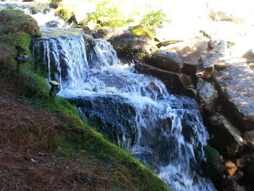 Creekside B&B