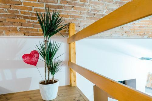 Apartamento Sweet Old Town