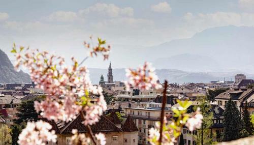 Apartamento App 7 Palazzo Cavour