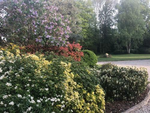 Hostal Le Baptist�re - Adults Only