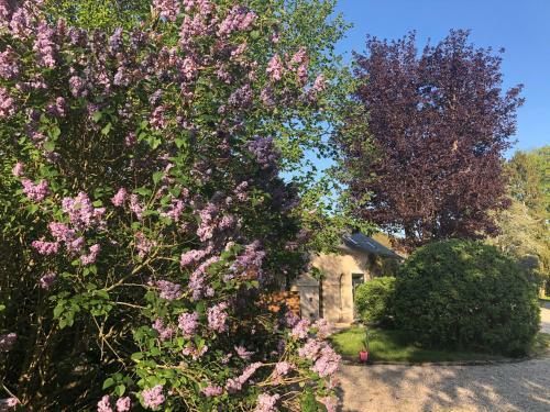 Hostal Le Baptist�re - Adults Only