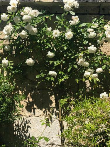 Hostal Le Baptist�re - Adults Only