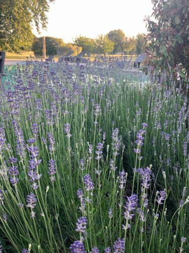 Hostal Le Baptist�re - Adults Only