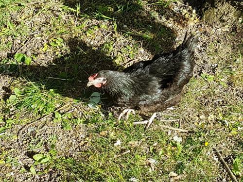 Entre Ville Et Campagne