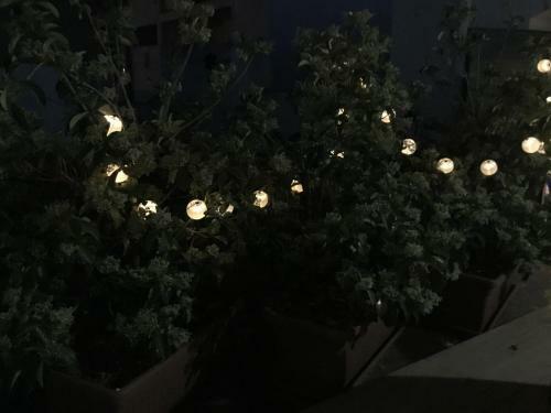 Apartamento Monolocale "villari"