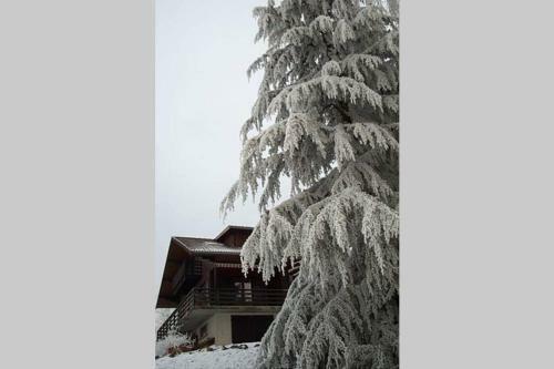 Chalet Avec Vue Idyllique