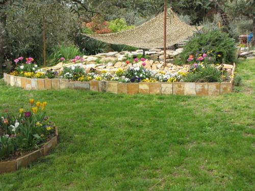 Au Coeur De L Olivette