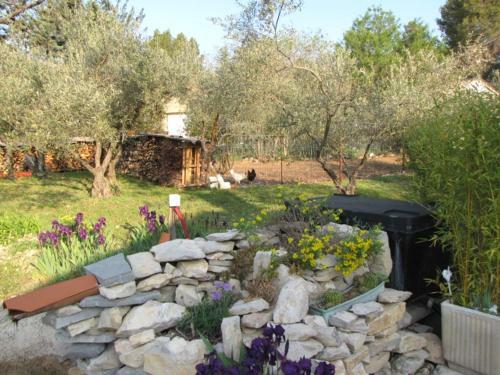 Au Coeur De L Olivette