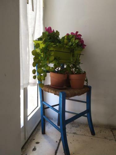 Apartamento La Pi� Bella In Old Town