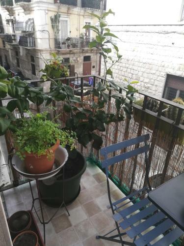 Apartamento Giorgia's House
