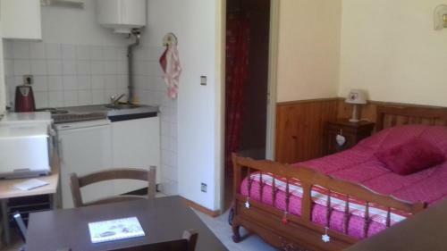 Apartamento Aux Volets Bleus D'aulus