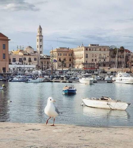 Apartamento Dimora Dei Veneziani - Locazione Turistica