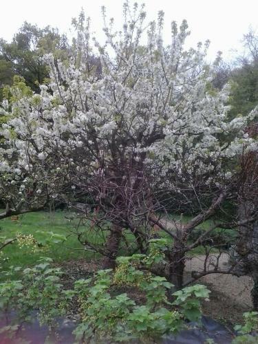 G�te Du Jardin