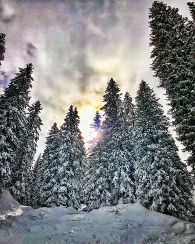 Apartamento Appartement Studio Avoriaz