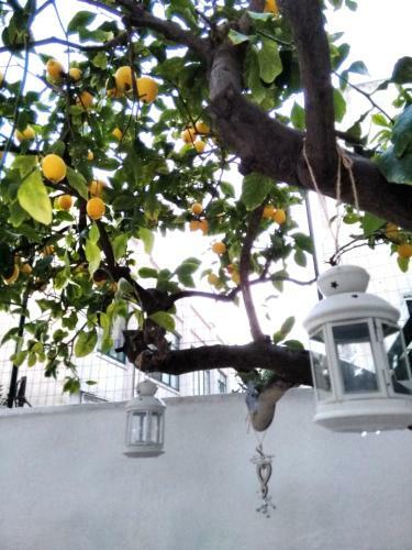 Apartamento Willkommen In Einem Private Garden