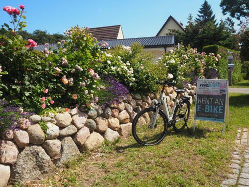 Apartamento Strandapartment Deich-lounge Zingst
