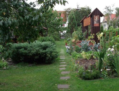 Apartamentos Ferienwohnung Harzgenuss
