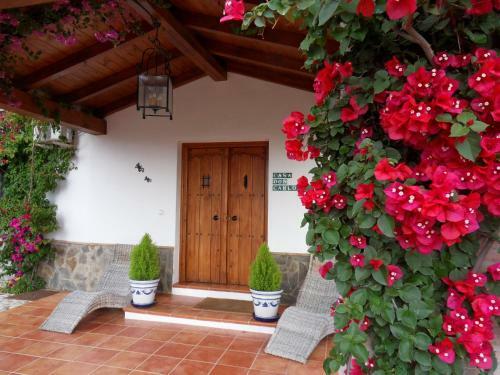 Bed & Breakfast | Guest House Casa Don Carlos