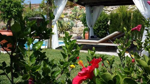 Bed & Breakfast | Guest House Casa Don Carlos