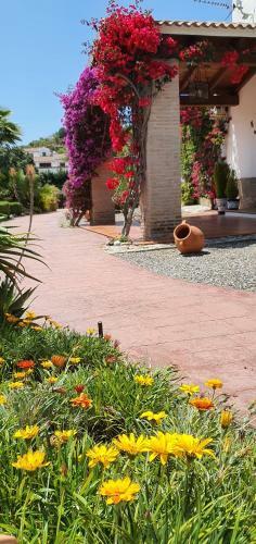 Bed & Breakfast | Guest House Casa Don Carlos