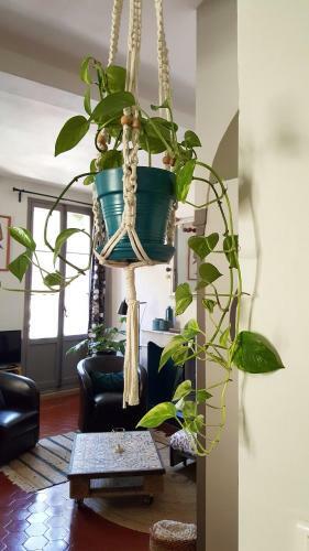 Apartamento La Vie De Boh�me Avignon