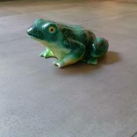 Apartamento The Frog's Hideaway