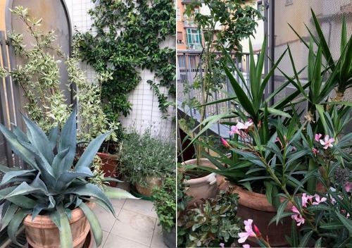 Apartamento Il Terrazzo Di San Colombano
