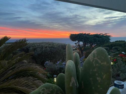 Apartamento Superbe Appartement Vue Mer Et Piscine