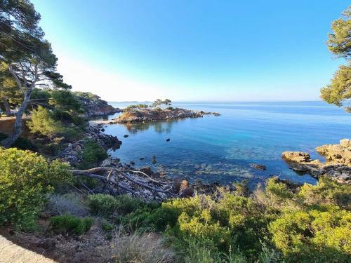 Apartamento T1 Bis Climatis� / Parking / Proche Des Plages