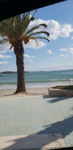 Apartamento Studio Hypercenter Bandol Feet In The Water