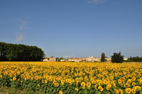 Bed & Breakfast L'hort De Sant Cebri�