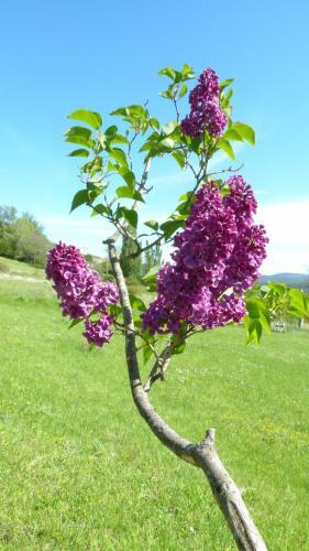 Bed & Breakfast Gite Campagnard