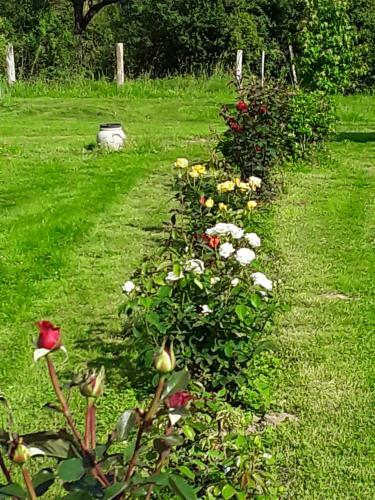 Bed & Breakfast La Roulotte De L'ami Nature