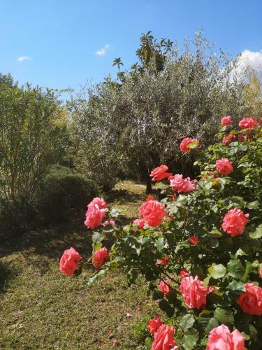Apartamento La Bastide Des Sources