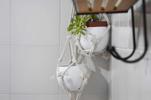 Apartamento Galliera Street
