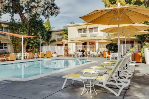 Wild Palms Hotel, A Joie De Vivre Hotel