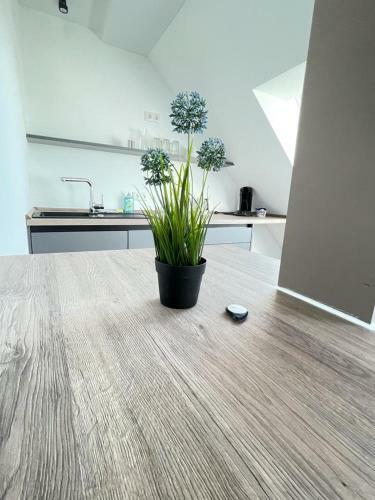 Apartamento G�stehaus Hirsch 93