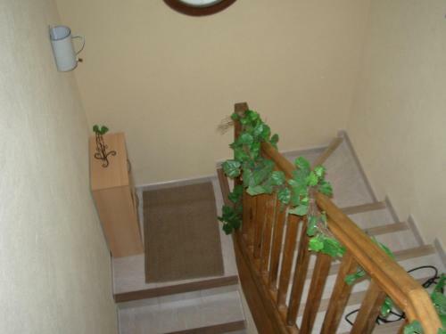 Apartamento Les Sences