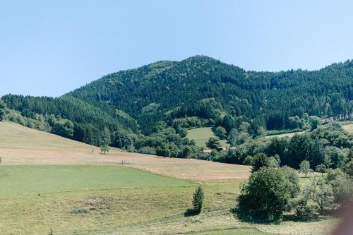 Apartamento Moderne 3 Zi.-fewo Blackforest Art N�he Freiburg