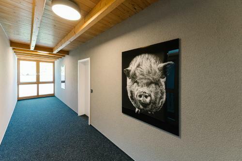 Apartamento Moderne 3 Zi.-fewo Blackforest Art N�he Freiburg